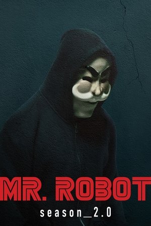 Poster for Mr. Robot