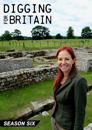 Poster for Digging for Britain: Season 6