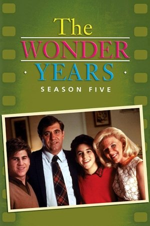 Poster for The Wonder Years: Season 5