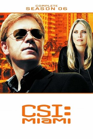 Poster for CSI: Miami: Season 6