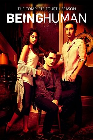 Poster for Being Human: Season 4