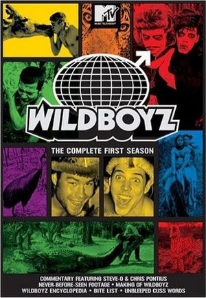 Poster for Wildboyz: Season 1