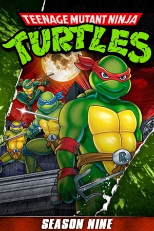 Poster for Teenage Mutant Ninja Turtles: Season 9