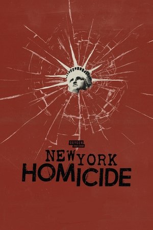Poster for New York Homicide: Season 2