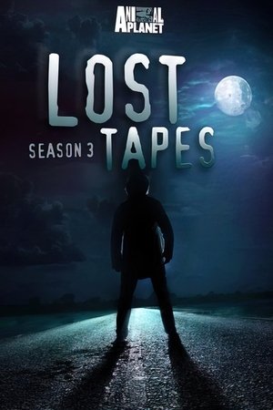 Poster for Lost Tapes: Season 3