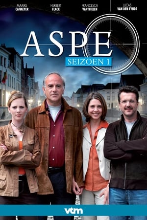 Poster for Aspe: Season 1