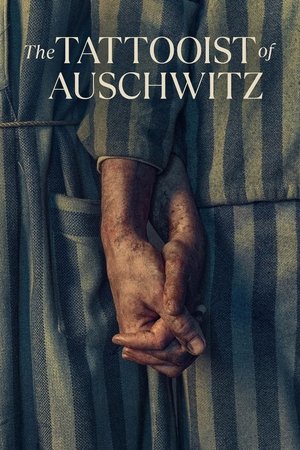Poster for The Tattooist of Auschwitz: Miniseries