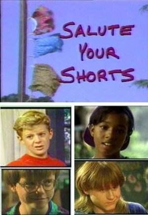 Poster for Salute Your Shorts: Season 1