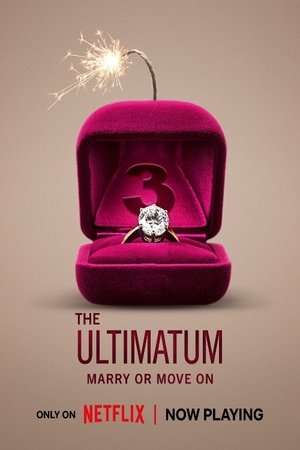 Poster for The Ultimatum: Marry or Move On: Season 3