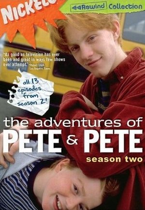 Poster for The Adventures of Pete & Pete: Season 2