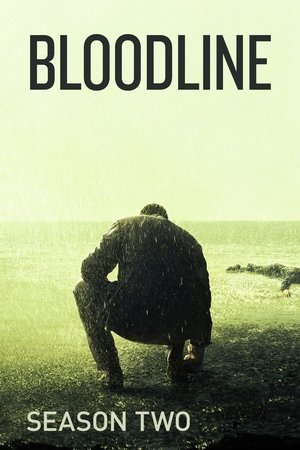 Poster for Bloodline: Season 2