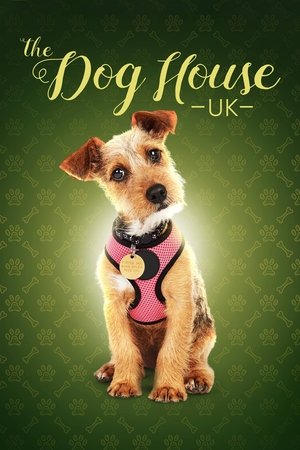 Poster for The Dog House: Season 1