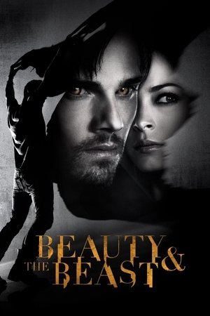 Poster for Beauty and the Beast: Season 2