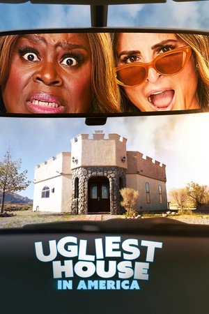 Poster for Ugliest House in America: Season 4