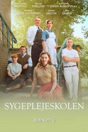 Poster for The New Nurses