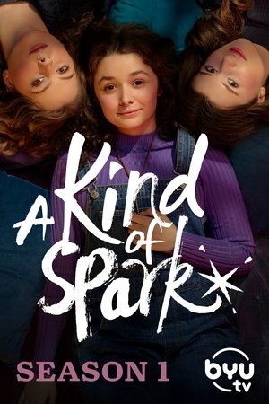 Poster for A Kind of Spark: Season 1