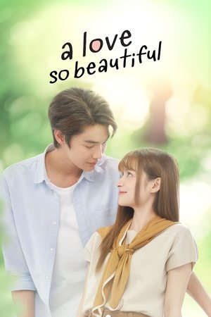 Poster for A Love So Beautiful: Season 1