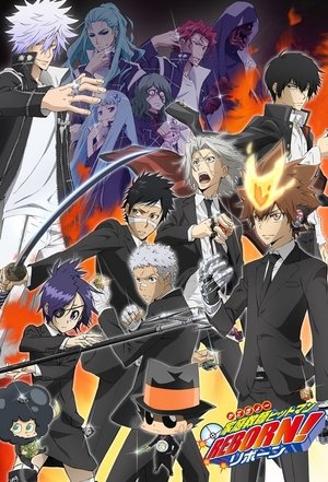 Poster for REBORN!: Choice Arc