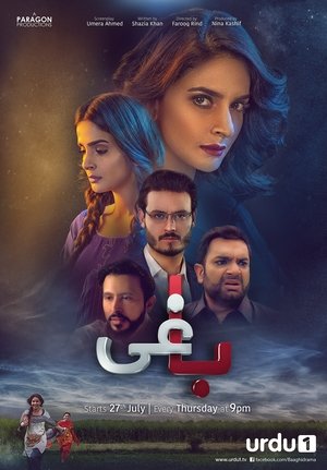 Poster for Baaghi: Season 1
