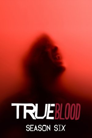 Poster for True Blood: Season 6