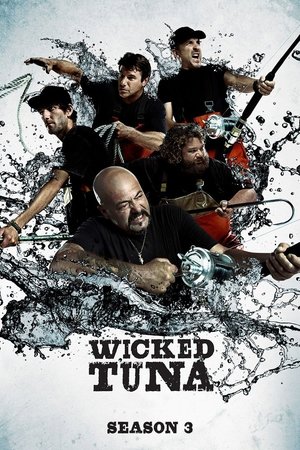 Poster for Wicked Tuna: Season 3