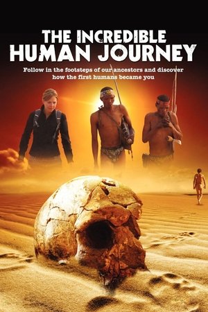 Poster for The Incredible Human Journey: Season 1