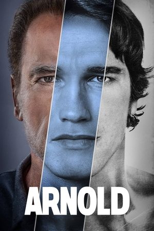 Poster for Arnold: Limited Series
