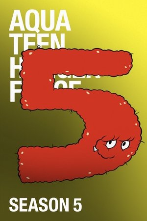 Poster for Aqua Teen Hunger Force: Season 5