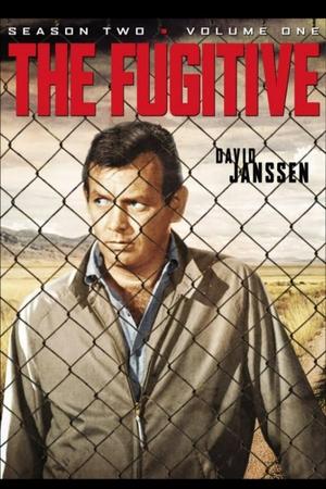 Poster for The Fugitive: Season 2