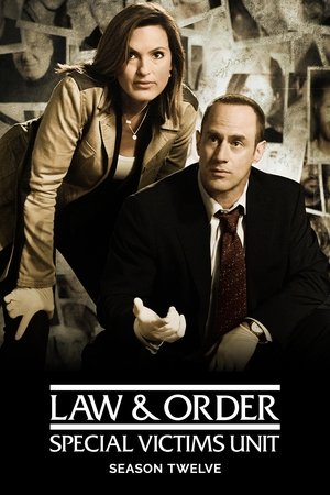 Poster for Law & Order: Special Victims Unit
