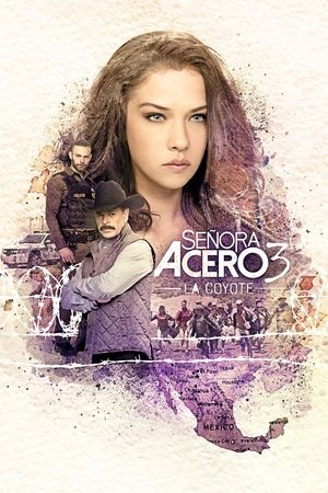 Poster for Senora Acero: Season 3