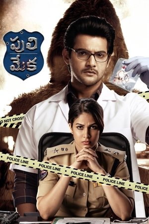 Poster for Puli Meka: Season 1
