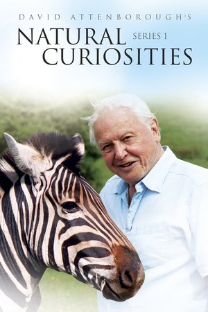 Poster for David Attenborough's Natural Curiosities: Season 1
