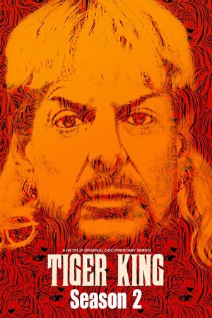 Poster for Tiger King: Season 2
