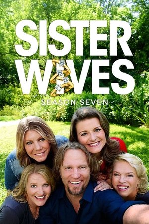 Poster for Sister Wives: Season 5