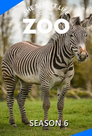 Poster for The Secret Life of the Zoo: Season 6