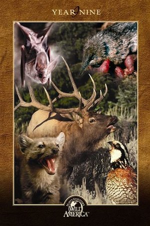 Poster for Marty Stouffer's Wild America: Season 9