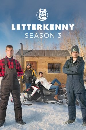 Poster for Letterkenny: Season 3