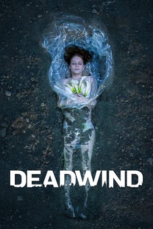 Poster for Deadwind: Season 3