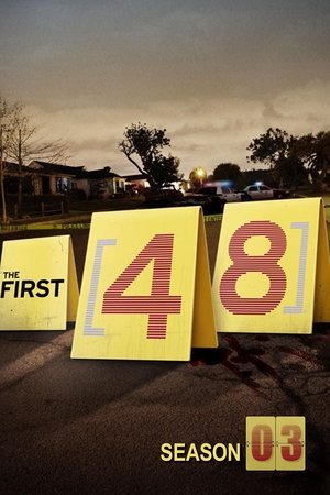 Poster for The First 48: Season 3