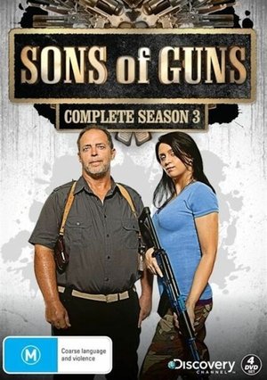 Poster for Sons of Guns: Season 3