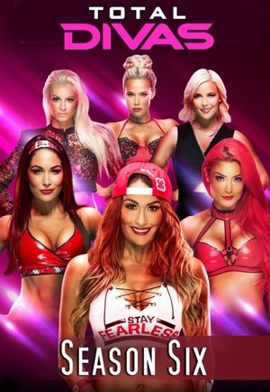 Poster for Total Divas: Season 6
