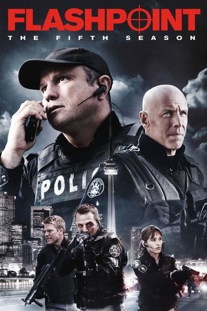 Poster for Flashpoint: Season 5