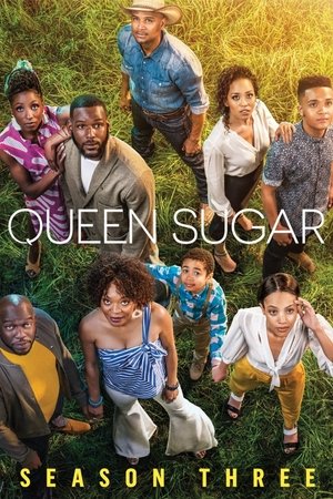 Poster for Queen Sugar: Season 3