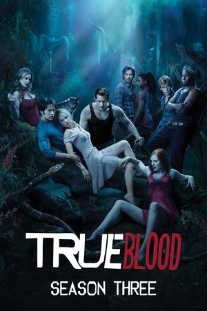 Poster for True Blood: Season 3