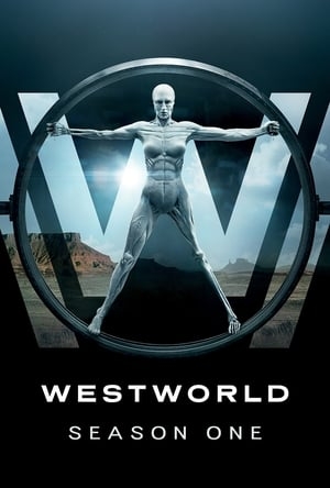 Poster for Westworld: Season One: The Maze