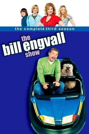 Poster for The Bill Engvall Show: Season 3