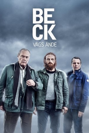Poster for Beck: Season 5