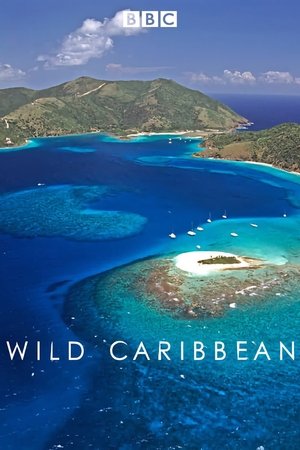 Poster for Wild Caribbean: Series 1