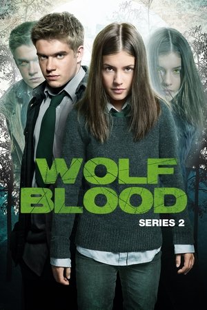 Poster for Wolfblood: Season 2